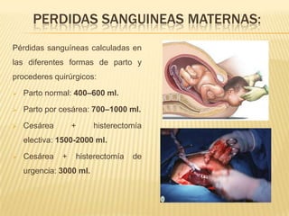 PERDIDAS SANGUINEAS MATERNAS:
Pérdidas sanguíneas calculadas en
las diferentes formas de parto y
procederes quirúrgicos:
...