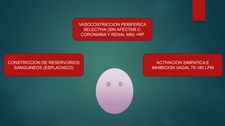 VASOCOSTRICCION PERIFERICA
SELECTIVA (SIN AFECTAR C.
CORONARIA Y RENAL MM) >RP
CONSTRICCION DE RESERVORIOS
SANGUINEOS (ESPLACNICO)
ACTIVACION SIMPATICA E
INHIBICION VAGAL 70-180 LPM
 