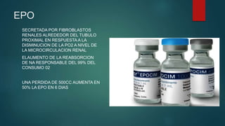 EPO
SECRETADA POR FIBROBLASTOS
RENALES ALREDEDOR DEL TUBULO
PROXIMAL EN RESPUESTA A LA
DISMINUCION DE LA PO2 A NIVEL DE
LA MICROCIRCULACION RENAL
ELAUMENTO DE LA REABSORCION
DE NA RESPONSABLE DEL 99% DEL
CONSUMO 02
UNA PERDIDA DE 500CC AUMENTA EN
50% LA EPO EN 6 DIAS
 