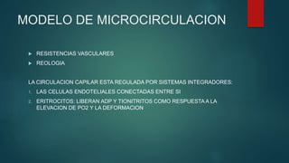 MODELO DE MICROCIRCULACION
 RESISTENCIAS VASCULARES
 REOLOGIA
LA CIRCULACION CAPILAR ESTA REGULADA POR SISTEMAS INTEGRADORES:
1. LAS CELULAS ENDOTELIALES CONECTADAS ENTRE SI
2. ERITROCITOS: LIBERAN ADP Y TIONITRITOS COMO RESPUESTA A LA
ELEVACION DE PO2 Y LA DEFORMACION
 