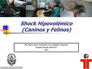 Shock Hipovolémico
(Caninos y Felinos)
MV: Mouly Javier. Cordinador Curso Optativo Urgencias
Hospital Escuela UNLP.FCV.
SATI
 