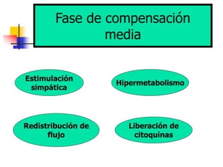 Fase de compensación
media
Estimulación
simpática
Hipermetabolismo
Redistribución de
flujo
Liberación de
citoquinas
 