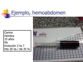 Ejemplo, hemoabdomen
Canino
Hembra
15 años
Mz
Evolución 2 hs ?
Hto 30 Va / Ab 35 %
 