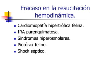 Fracaso en la resucitación
hemodinámica.
 Cardiomiopatía hipertrófica felina.
 IRA parenquimatosa.
 Síndromes hiperosmolares.
 Piotórax felino.
 Shock séptico.
 