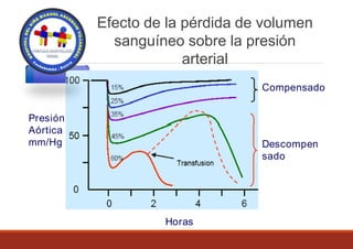 Compensado
Efecto de la pérdida de volumen
sanguíneo sobre la presión
arterial
Presión
Aórtica
mm/Hg
Horas
Descompen
sado
 