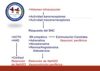 <Volumen intravascular
>Actividad barorreceptores
<Actividad mecanorreceptores
Respuesta del SNC
>ACTH
>HAD
Estimulación Carotídea
Vasocont. periférica.
SN simpático
>Adrenalina
>Noradrenalina
>Renina/Angiotensina
Aldosterona
>Cortisol
Retención
de Na/H2O
Retención de Na/H2O
Vasocontrición periférica
 