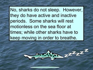 Shocking Sharks: How Much Do You Know? | PPT