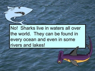 Shocking Sharks: How Much Do You Know? | PPT