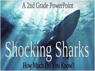 Shocking Sharks A 2nd Grade PowerPoint How Much Do You Know? 