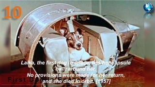 Fir st Dog In Space
Laika, the first dog in space, has her capsule
built around her.
No provisions were made for her return,
and she died in orbit. [1957]
 