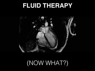 FLUID THERAPY 
(NOW WHAT?)
 