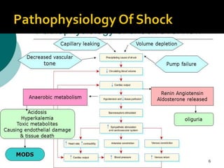 Shock its pathopysiology and management | PPTX