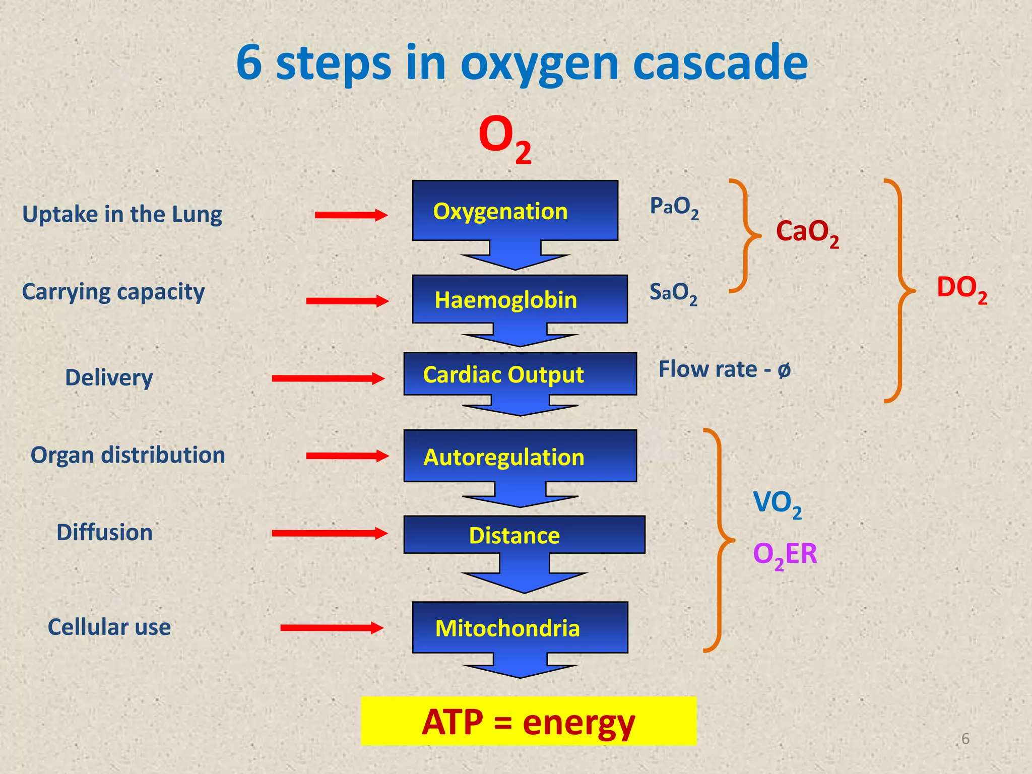 Shock Kuliah Residen.pptx