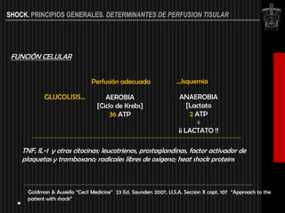 SHOCK. PRINCIPIOS GENERALES. DETERMINANTES DE PERFUSION TISULAR




 FUNCIÓN CELULAR


                                Perfusión adecuada                 …Isquemia

            GLUCOLISIS…              AEROBIA                        ANAEROBIA
                                  [Ciclo de Krebs]                   [Lactato
                                       36 ATP                         2 ATP

                                                                    ¡¡ LACTATO !!

    TNF, IL-1 y otras citocinas; leucotrienos, prostaglandinas, factor activador de
    plaquetas y tromboxano; radicales libres de oxigeno; heat shock proteins



      Goldman & Ausiello “Cecil Medicine” 23 Ed. Saunders 2007, U.S.A. Seccion X capt. 107 “Approach to the
      patient with shock”
 