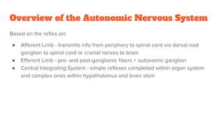 Overview of the Autonomic Nervous System
Based on the reﬂex arc
● Aﬀerent Limb - transmits info from periphery to spinal cord via dorsal root
ganglion to spinal cord or cranial nerves to brain
● Eﬀerent Limb - pre- and post-ganglionic ﬁbers + autonomic ganglion
● Central Integrating System - simple reﬂexes completed within organ system
and complex ones within hypothalamus and brain stem
 