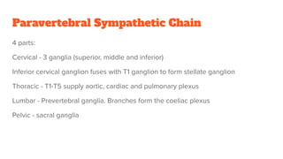Paravertebral Sympathetic Chain
4 parts:
Cervical - 3 ganglia (superior, middle and inferior)
Inferior cervical ganglion fuses with T1 ganglion to form stellate ganglion
Thoracic - T1-T5 supply aortic, cardiac and pulmonary plexus
Lumbar - Prevertebral ganglia. Branches form the coeliac plexus
Pelvic - sacral ganglia
 