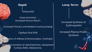 Comprehensive Overview of Shock: Types, Mechanisms, and Treatment | PDF