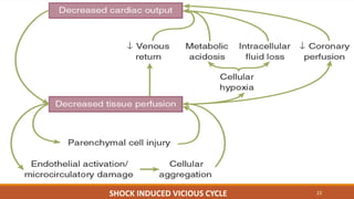 22SHOCK INDUCED VICIOUS CYCLE
 