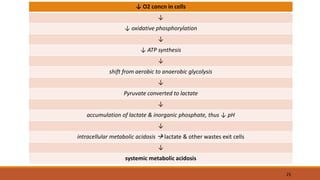 ↓ O2 concn in cells
↓
↓ oxidative phosphorylation
↓
↓ ATP synthesis
↓
shift from aerobic to anaerobic glycolysis
↓
Pyruvate converted to lactate
↓
accumulation of lactate & inorganic phosphate, thus ↓ pH
↓
intracellular metabolic acidosis  lactate & other wastes exit cells
↓
systemic metabolic acidosis
25
 