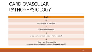 CARDIOVASCULAR
PATHOPHYSIOLOGY
30
Shock
↓
↓ Preload & ↓ Afterload
↓
↑ sympathetic output
↓
catecholamine release from adrenal medulla
↓
↑ heart rate & contractility
venous and arterial vasoconstriction (Except in sepsis)
 