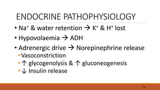 ENDOCRINE PATHOPHYSIOLOGY
• Na+ & water retention  K+ & H+ lost
• Hypovolaemia  ADH
• Adrenergic drive  Norepinephrine release
•Vasoconstriction
•↑ glycogenolysis & ↑ gluconeogenesis
•↓ Insulin release
34
 