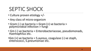 SEPTIC SHOCK
• Culture proven etiology +/-
• Any class of micro-organism
• Gram (-) ve bacteria > Gram (+) ve bacteria >
polymicrobial infection > fungi
• Gm (-) ve bacteria = Enterobacteriaceae, pseudomonads,
Haemophilus etc.
•Gm (+) ve bacteria = S.aureus, coagulase (-) ve staph,
enterococci, S.pneumoniae etc.
40
 
