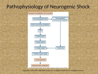Pathophysiology of Neurogenic Shock
Copyright © 2010, 2007, 2004, 2000, Mosby, Inc., an affiliate of Elsevier Inc. All Rights Reserved.
 