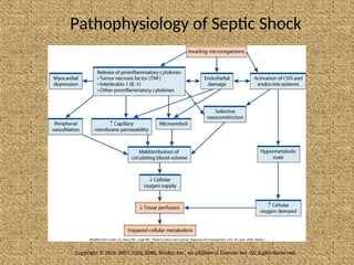 Pathophysiology of Septic Shock
Copyright © 2010, 2007, 2004, 2000, Mosby, Inc., an affiliate of Elsevier Inc. All Rights Reserved.
 