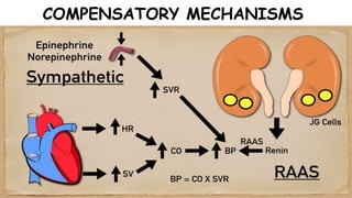 COMPENSATORY MECHANISMS
 