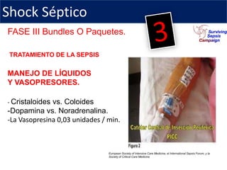 Shock Séptico
FASE III Bundles O Paquetes.

 TRATAMIENTO DE LA SEPSIS


MANEJO DE LÍQUIDOS
Y VASOPRESORES.

- Cristaloides vs. Coloides
-Dopamina vs. Noradrenalina.
-La Vasopresina 0,03 unidades / min.



                                European Society of Intensive Care Medicine, el International Sepsis Forum, y la
                                Society of Critical Care Medicine
 