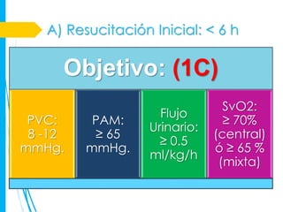 A) Resucitación Inicial: < 6 h

     Objetivo: (1C)
                                 SvO2:
                     Flujo
 PVC:     PAM:                   ≥ 70%
                   Urinario:
 8 -12    ≥ 65                 (central)
                     ≥ 0.5
mmHg.    mmHg.                 ó ≥ 65 %
                   ml/kg/h
                                (mixta)
 