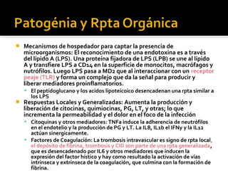    Mecanismos de hospedador para captar la presencia de
    microorganismos: El reconocimiento de una endotoxina es a través
    del lípido A (LPS). Una proteína fijadora de LPS (LPB) se une al lípido
    A y transfiere LPS a CD14 en la superficie de monocitos, macrófagos y
    nutrófilos. Luego LPS pasa a MD2 que al interaccionar con un receptor
    peaje (TLR) y forma un complejo que da la señal para producir y
    liberar mediadores proinflamatorios.
     El peptidoglucano y los acidos lipoteicoico desencadenan una rpta similar a
      los LPS
   Respuestas Locales y Generalizadas: Aumenta la producción y
    liberación de citocinas, quimiocinas, PG, LT, y otras; lo que
    incrementa la permeabilidad y el dolor en el foco de la infección
     Citoquinas y otros mediadores: TNFa induce la adherencia de neutrófilos
      en el endotelio y la producción de PG y LT. La IL8, IL1b el IFNy y la IL12
      actúan sinergicamente.
     Factores de Coagulación: La trombosis intravascular es signo de rpta local,
      el depósito de fibrina, trombosis y CID son parte de una rpta generalizada,
      que es desencadenado por IL6 y otros mediadores que inducen la
      expresión del factor hístico y hay como resultado la activación de vías
      intrinseca y extrinseca de la coagulación, que culmina con la formación de
      fibrina.
 
