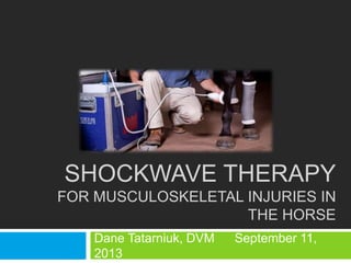 SHOCKWAVE THERAPY
FOR MUSCULOSKELETAL INJURIES IN
THE HORSE
Dane Tatarniuk, DVM September 11,
2013
 