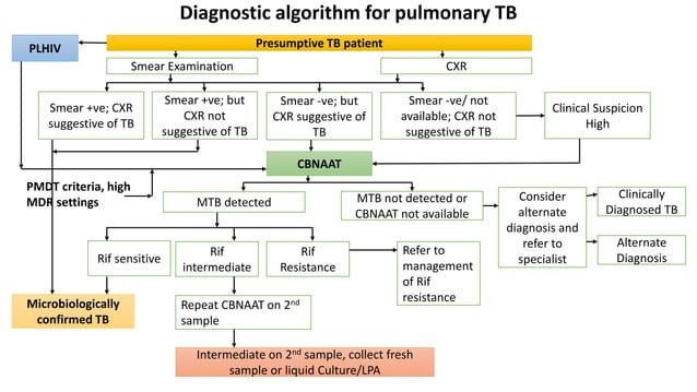 New guidelines for Tuberculosis treatment (NTEP) | PPTX | Infectious ...