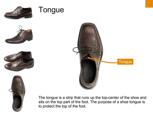 Parts of a Shoe