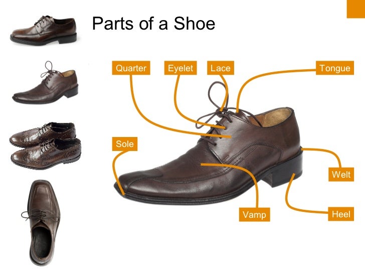 Parts of a Shoe