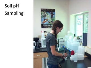 Soil pH
Sampling
 