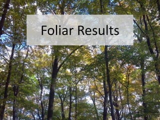 Foliar Results
 