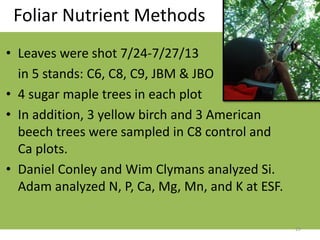 Foliar Nutrient Methods
• Leaves were shot 7/24-7/27/13
in 5 stands: C6, C8, C9, JBM & JBO
• 4 sugar maple trees in each plot
• In addition, 3 yellow birch and 3 American
beech trees were sampled in C8 control and
Ca plots.
• Daniel Conley and Wim Clymans analyzed Si.
Adam analyzed N, P, Ca, Mg, Mn, and K at ESF.
15
 