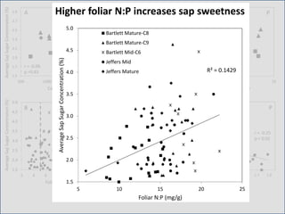 15 35 55 75
Soil P (ug/g soil)
r = 0.22
p =0.42
1.5
1.7
1.9
2.1
2.3
2.5
2.7
2.9
500 1500 2500 3500
Ca (ug/g soil)
r = -0.06
p =0.83
3 5 7 9 11 13
N mineralization (ug/g soil)
Bartlett Mature -C8
Bartlett Mature -C9
Bartlett Mid-C6
Jeffers Mid
Jeffers Mature
r = 0.65
p = 0.007
AverageSapSugarConcentration(%)
Ca N P
1.5
2.0
2.5
3.0
3.5
4.0
4.5
5.0
2 4 6 8 10 12 14
Foliar Ca (mg/g)
r = -0.03
p = 0.79
0.7 0.9 1.1 1.3 1.5 1.7 1.9
Foliar P (mg/g)
r = -0.25
p = 0.02
5 10 15 20 25
Foliar N (mg/g)
r = 0.16
p = 0.14
AverageSapSugarConcentration(%)
Ca N P
A
B
R² = 0.1429
1.5
2.0
2.5
3.0
3.5
4.0
4.5
5.0
5 10 15 20 25
AverageSapSugarConcentration(%)
Foliar N:P (mg/g)
Bartlett Mature-C8
Bartlett Mature-C9
Bartlett Mid-C6
Jeffers Mid
Jeffers Mature
Higher foliar N:P increases sap sweetness
 