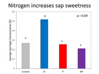 2
2.1
2.2
2.3
2.4
2.5
2.6
Control N P NP
AverageSapSugarConcentration(%)
p = 0.09
a
a
a
b
Nitrogen increases sap sweetness
 