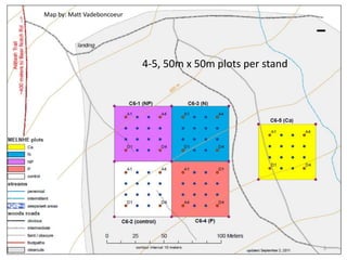 Map by: Matt Vadeboncoeur
4-5, 50m x 50m plots per stand
3
 