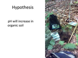 Hypothesis
pH will increase in
organic soil
 