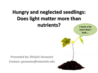 I mean a lot
more than I
look….
Hungry and neglected seedlings:
Does light matter more than
nutrients?
Presented by: Shinjini Goswami
Contact: goswams@miamioh.edu
 