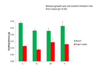 0.00
0.05
0.10
0.15
0.20
0.25
0.30
C N NP P
Seedlingbiomass(g)
Beech
Sugar maple
Biomass growth was not nutrient limited in the
first 2 years (p= 0.14)
 