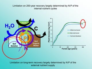 C
H2O
N
P
Plants
Soil
Organic
Matter
Soil
Solution 0
2
4
6
8
10
12
14
0 50 100 150 200
Whole tree harvest
Bole only harvest
Hurricane blowdown
Plantbiomass(kgC/m2) Forest age (years)
Limitation on 200-year recovery largely determined by N:P of the
internal nutrient cycles
Limitation on long-term recovery largely determined by N:P of the
external nutrient supply
 
