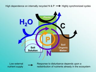 C
H2O
N
P
Plants
Soil
Organic
Matter
Soil
Solution
High dependence on internally recycled N & P Highly synchronized cycles...