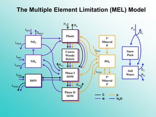 The Multiple Element Limitation (MEL) Model
Plants
Coarse
Woody
Debris
Phase I
SOM
Phase II
SOM
PO4
2o
Mineral
P
1o
Minera...