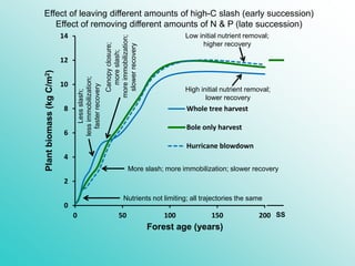 0
2
4
6
8
10
12
14
0 50 100 150 200
Whole tree harvest
Bole only harvest
Hurricane blowdown
Effect of leaving different amounts of high-C slash (early succession)
Effect of removing different amounts of N & P (late succession)
Plantbiomass(kgC/m2)
Forest age (years)
SS
Lessslash;
lessimmobilization;
fasterrecovery
Canopyclosure;
moreslash;
moreimmobilization;
slowerrecovery
More slash; more immobilization; slower recovery
High initial nutrient removal;
lower recovery
Low initial nutrient removal;
higher recovery
Nutrients not limiting; all trajectories the same
 