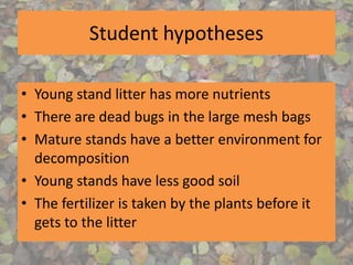 Student hypotheses
• Young stand litter has more nutrients
• There are dead bugs in the large mesh bags
• Mature stands have a better environment for
decomposition
• Young stands have less good soil
• The fertilizer is taken by the plants before it
gets to the litter
 